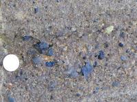 Albums/20060200-New Zealand 2006/20060316-Twiz/7